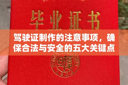 张家界驾驶证制作的注意事项，确保合法与安全的五大关键点