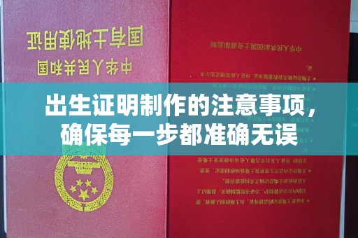 张家界出生证明制作的注意事项，确保每一步都准确无误